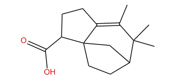 Isozizanoic acid